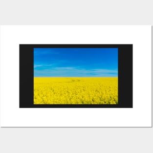 Ukraine national flag landscape - Landscape resembling Ukrainian Flag Posters and Art